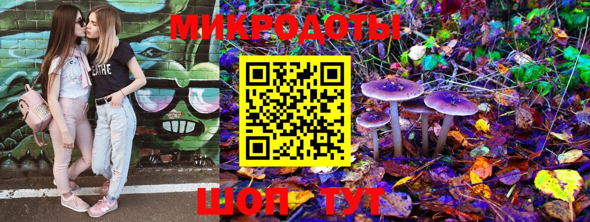 Елец  Галлюциногенные грибы GOLDEN TEACHER  Вход с VPN  Псилоцибиновые грибы Psilocybe 